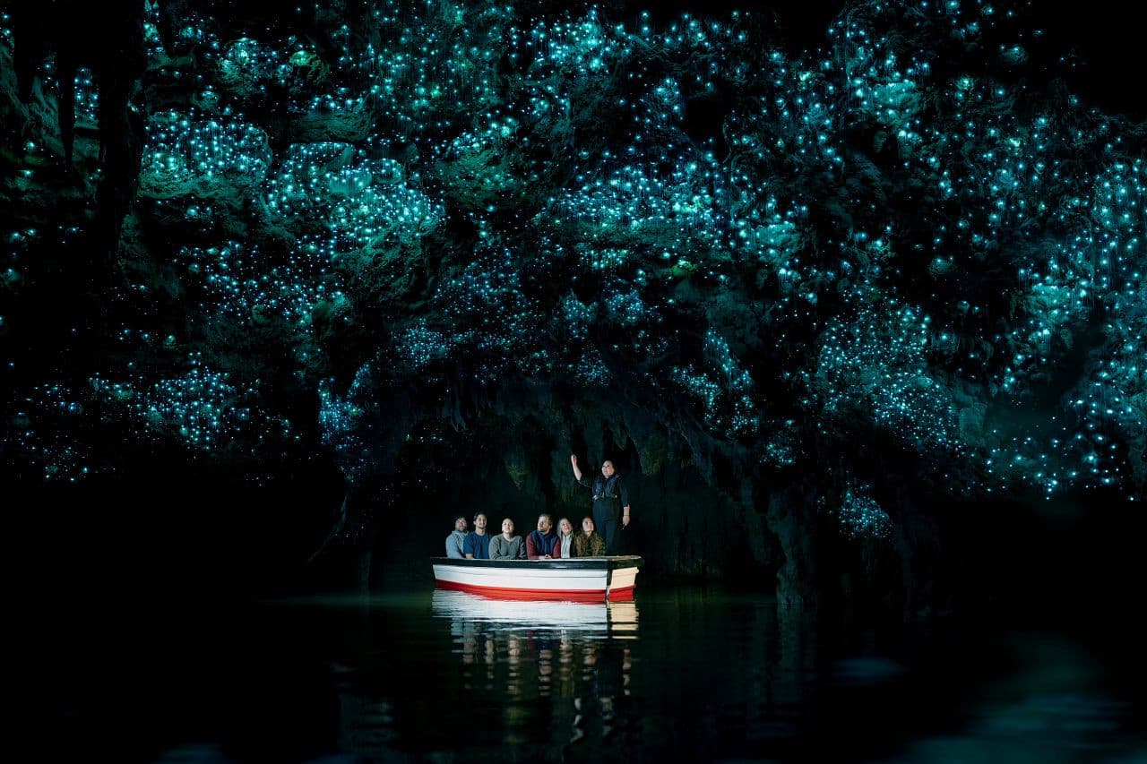 Waitomo Glowworm Caves Guided Tour - تصویر اصلی
