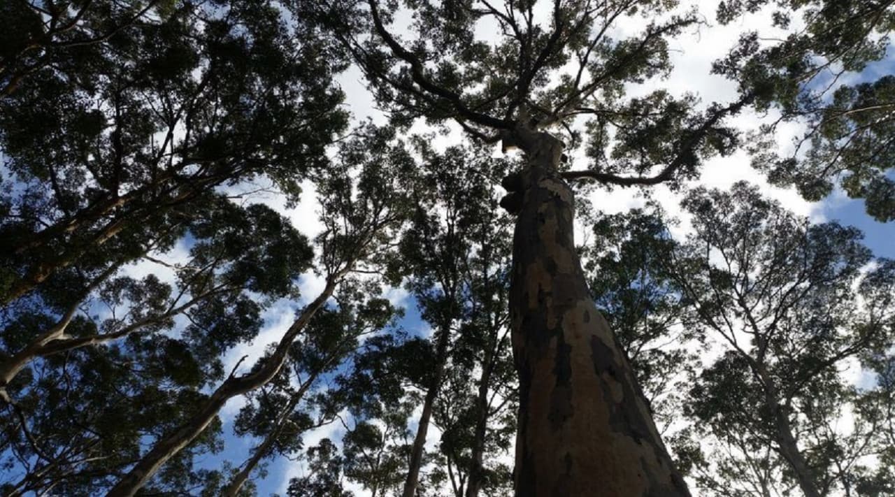 Margaret River Beer Tasting Tour from Perth - تصویر 5
