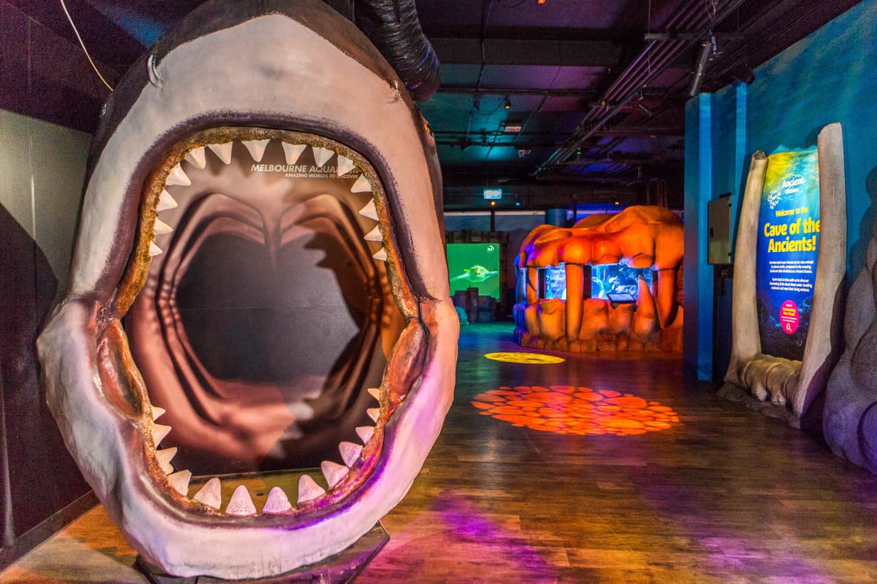 SEA LIFE Melbourne Aquarium Direct Entry Ticket - تصویر 13