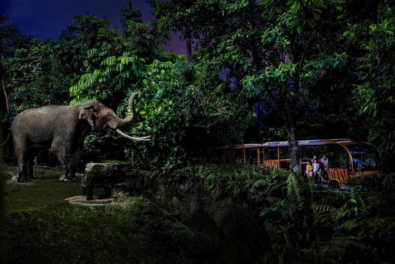 Singapore Night Safari Ticket - تصویر اصلی