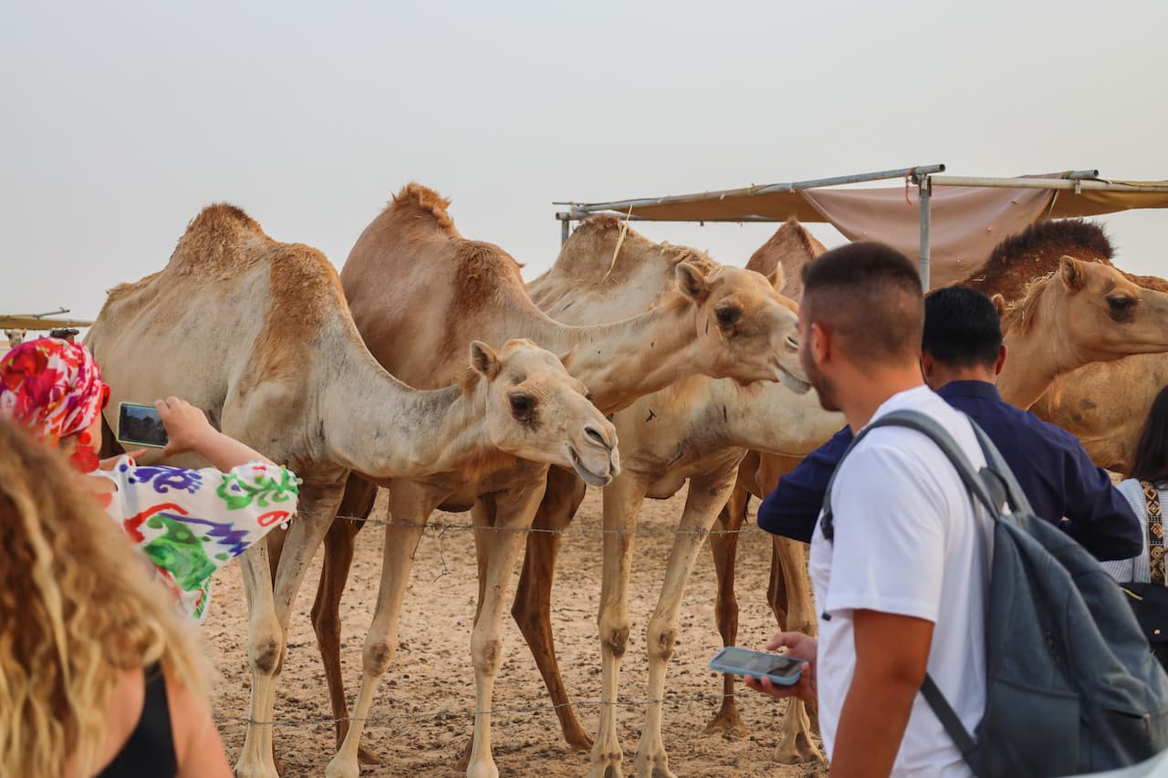 Desert Safari Tour from Abu Dhabi - تصویر 9