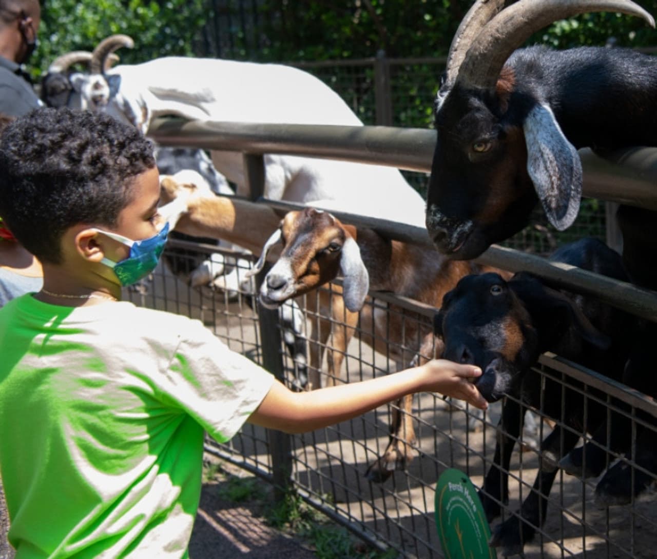 Central Park Zoo - تصویر 4