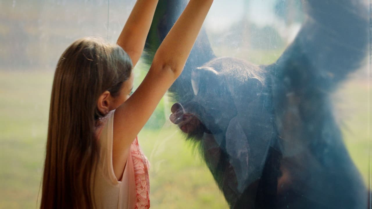 Dubai Safari Park Ticket - تصویر 18