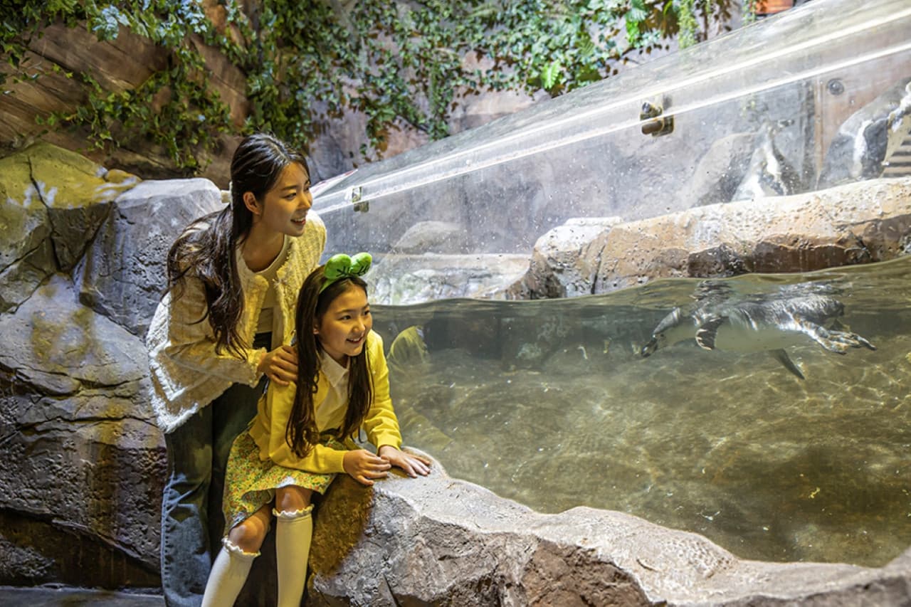 Zoolung Zoolung Indoor Animal Theme Park Ticket - تصویر 4