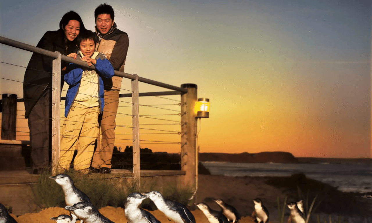 Phillip Island with Penguin Parade Eco Tour - تصویر 3