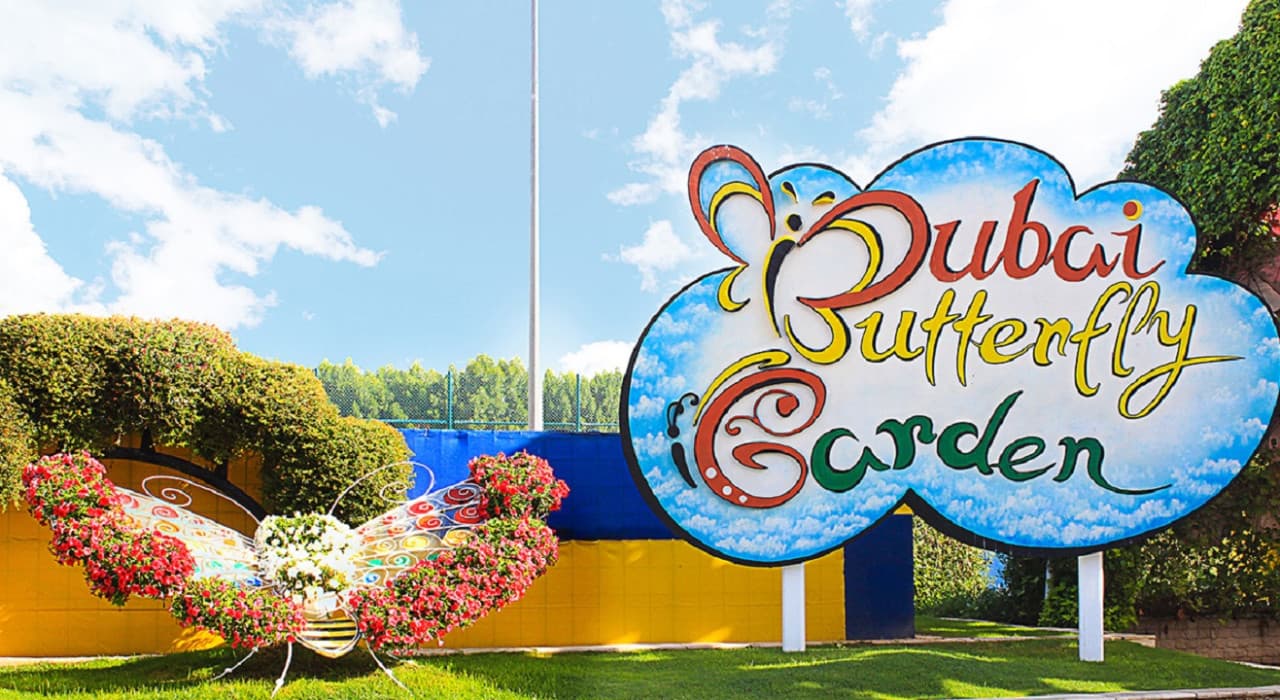 COMBO: Dubai Miracle Garden + Dubai Butterfly Garden Tickets - تصویر 5
