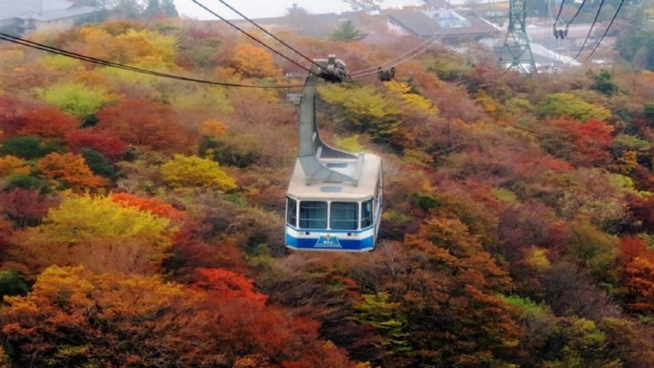 Mount Fuji and Hakone Tour - تصویر 4