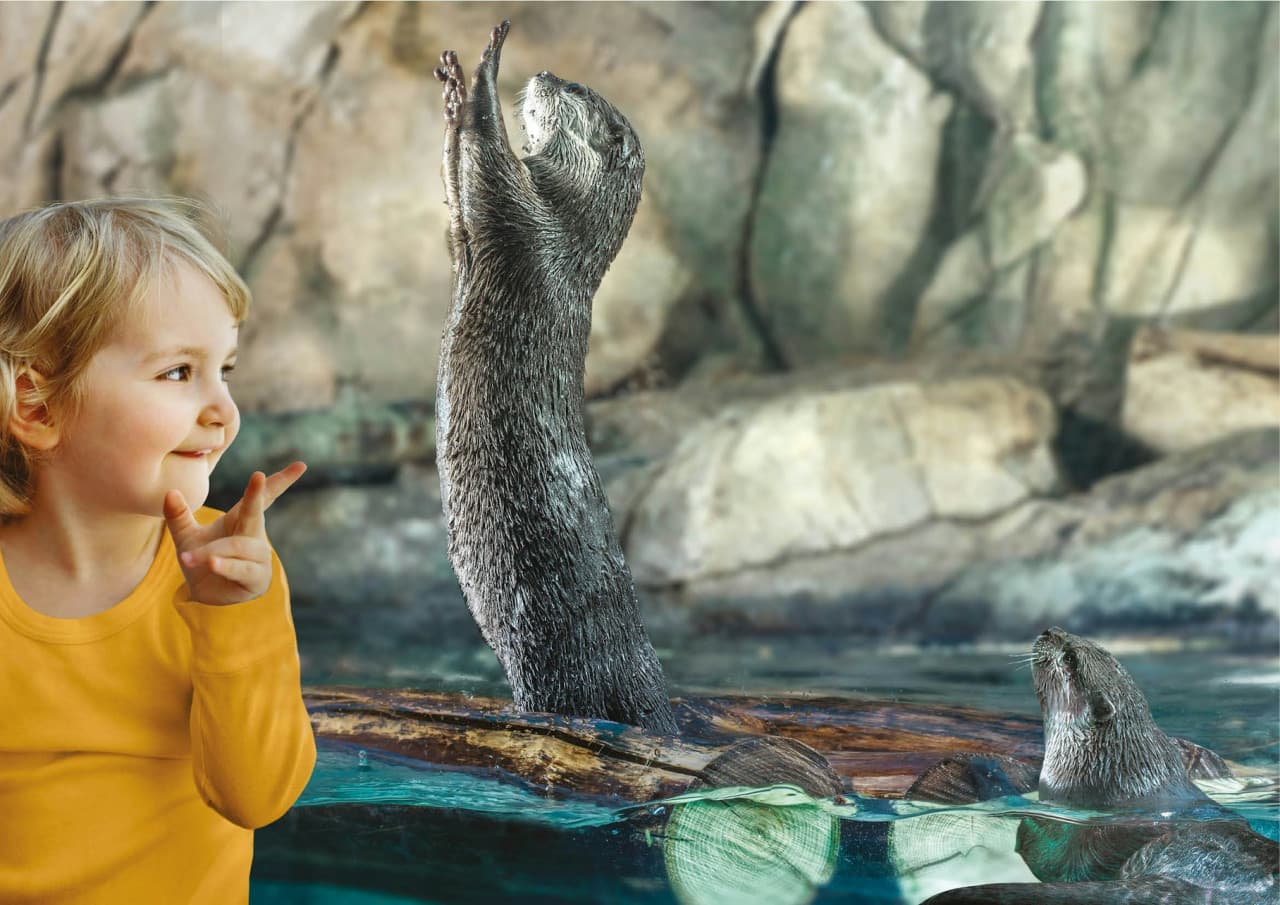 Aquarium of Cattolica Ticket - تصویر 5
