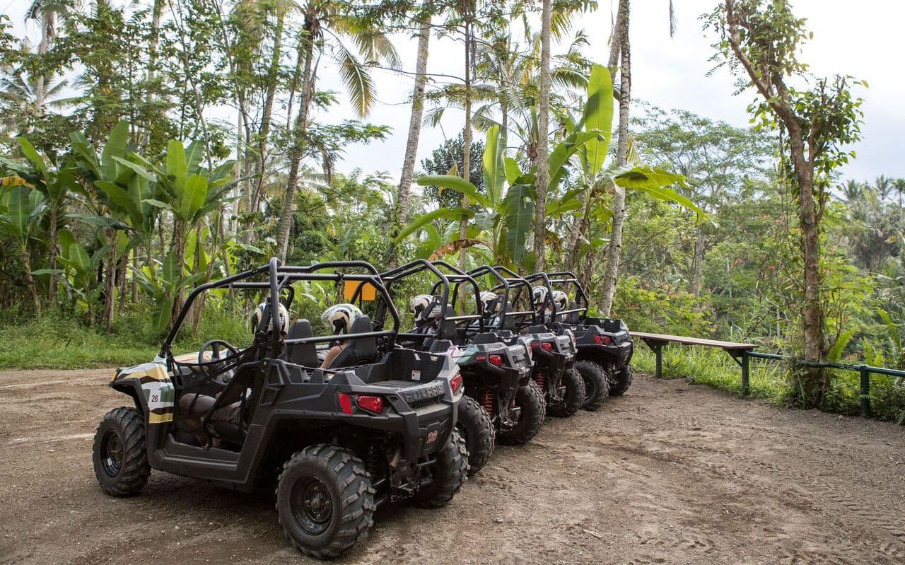 Bali's Thrilling Jungle Buggy Adventure by Mason Adventures - تصویر 3