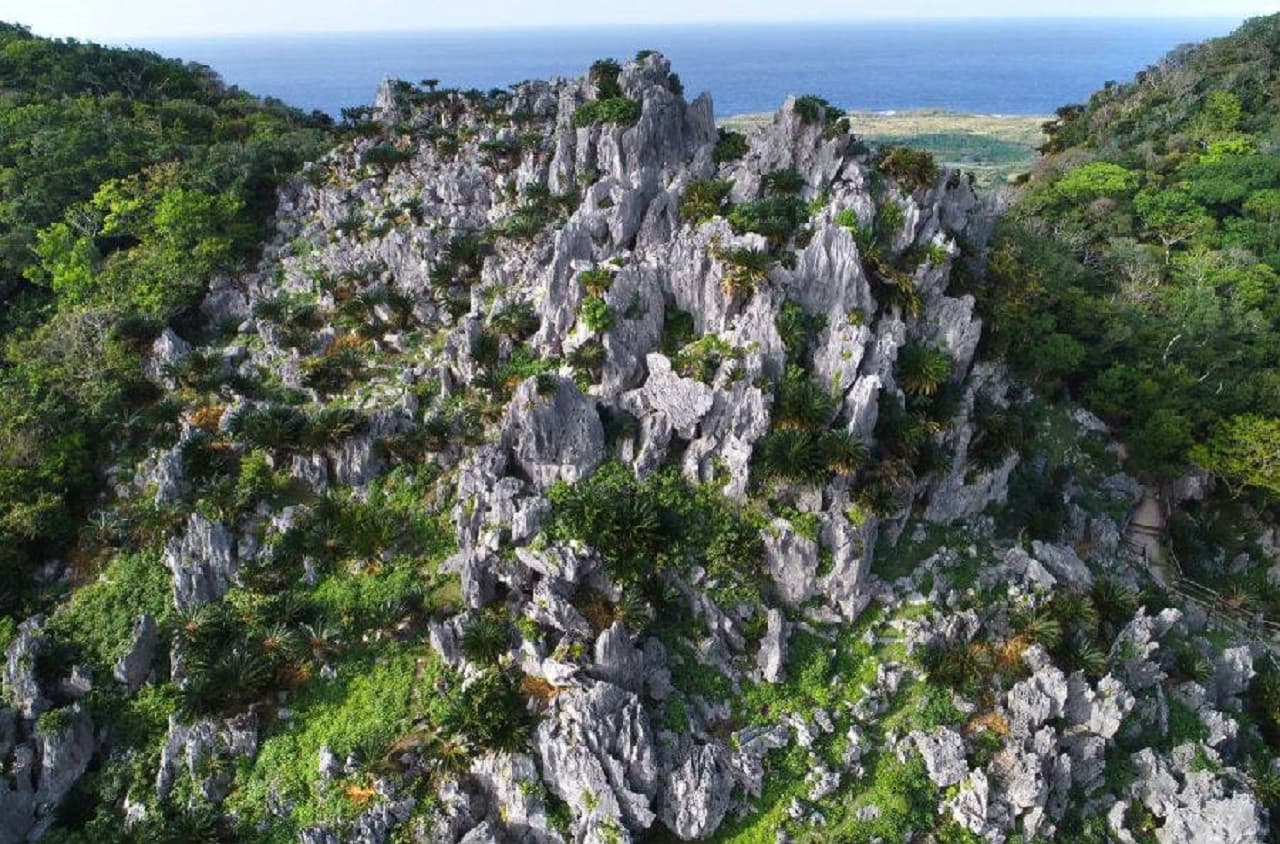 Okinawa Churaumi TokuToku 5 Pass - تصویر 3