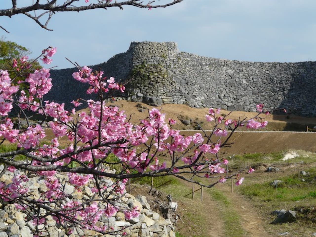 Nakijin Castle Ruins Ticket - تصویر 11