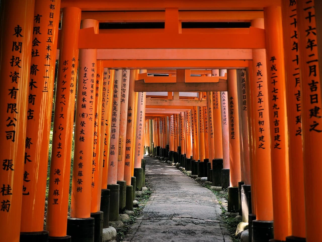 Kyoto Tour from Osaka - تصویر اصلی