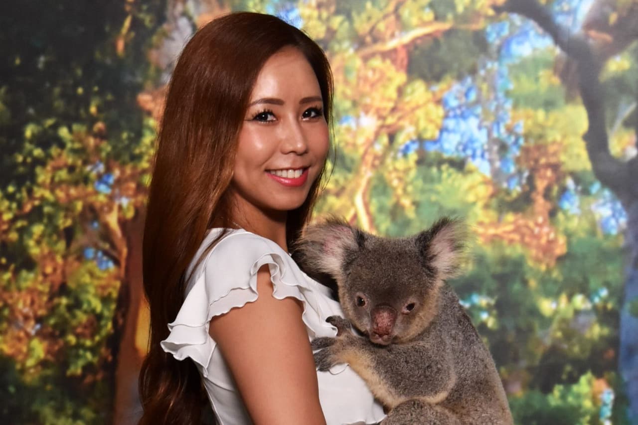 Cairns Koalas and Creatures at the Pier Ticket - تصویر 2
