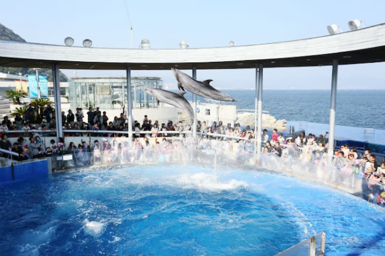 Oita Marine Palace Aquarium Umitamago Ticket - تصویر 9