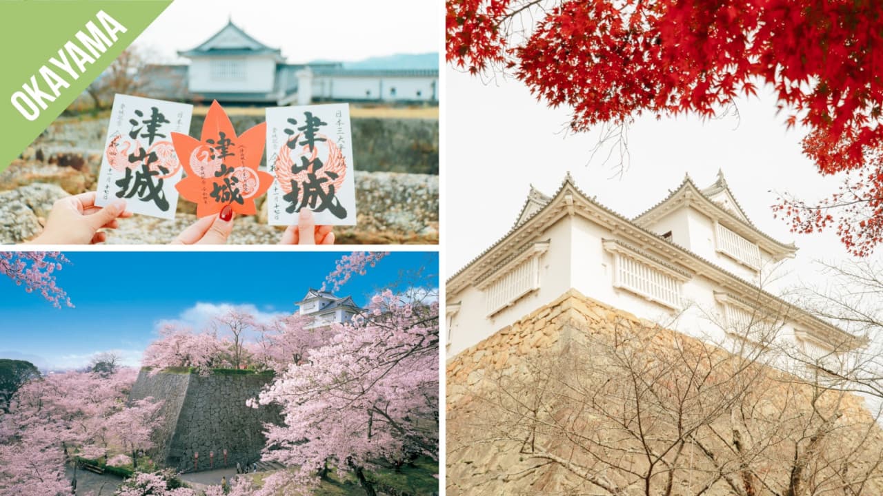 Have Fun in Okayama Pass - 1 Week Free Pass - تصویر 4