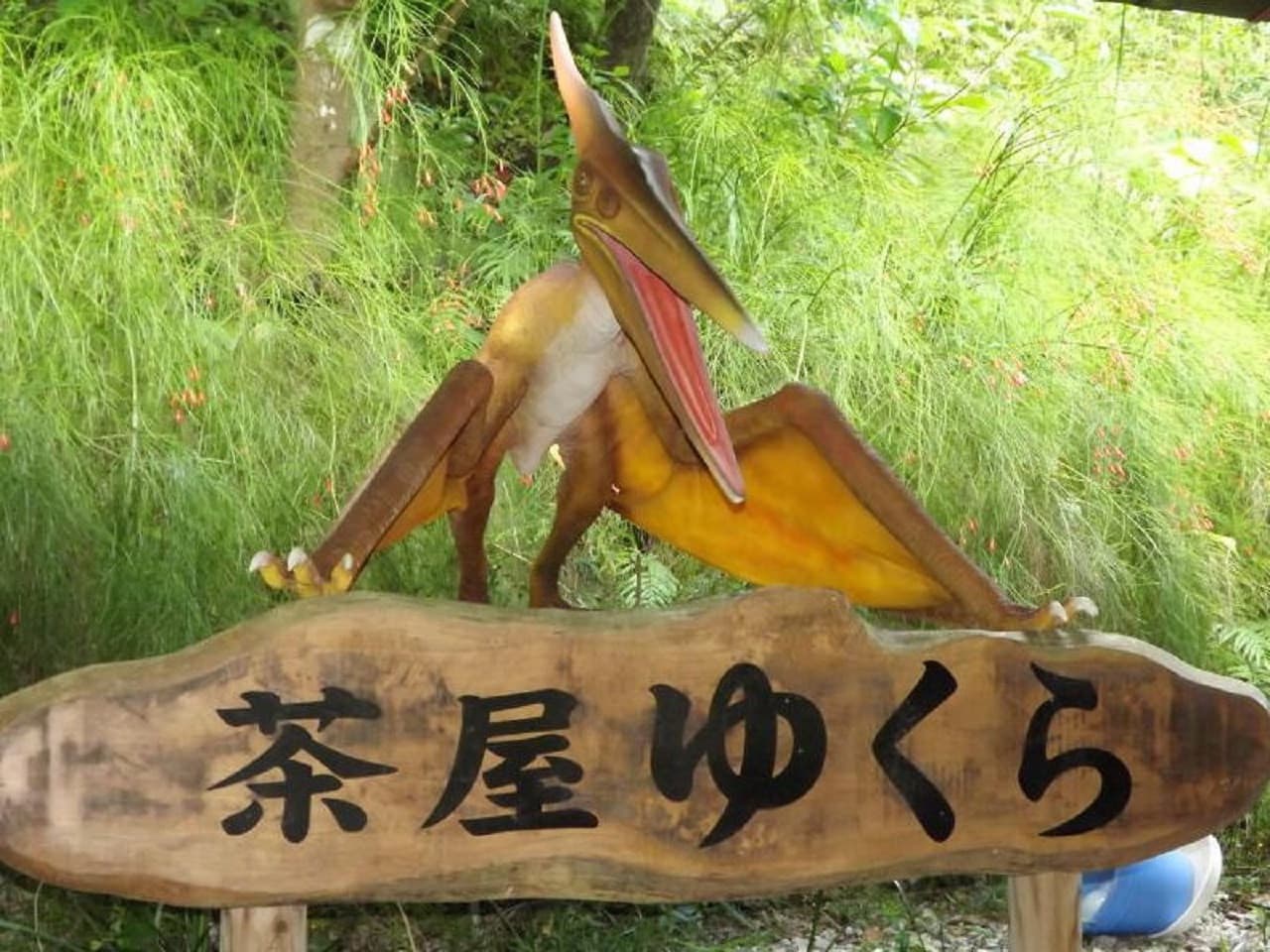 Okinawa Dino Park Yanbaru Subtropical Forest Ticket - تصویر 8