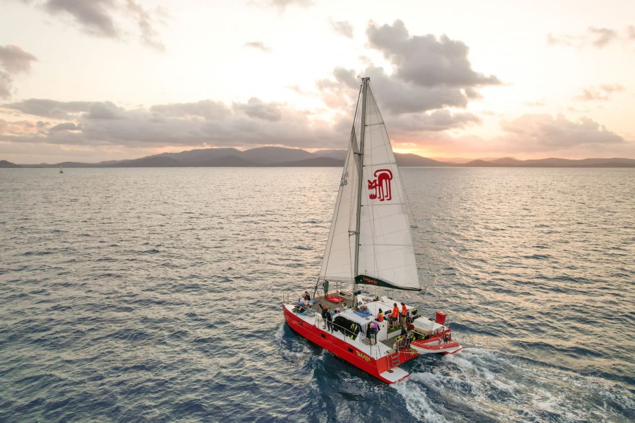 Tongarra Day Sailing Tour - تصویر 14