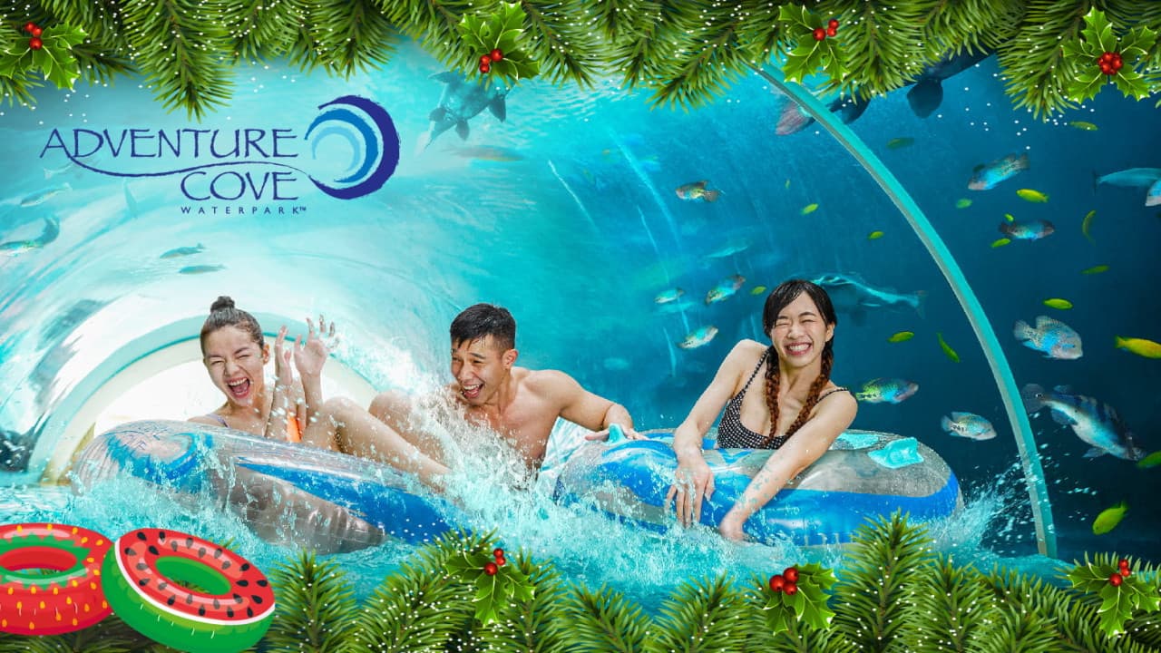 Adventure Cove Waterpark Ticket - تصویر 2