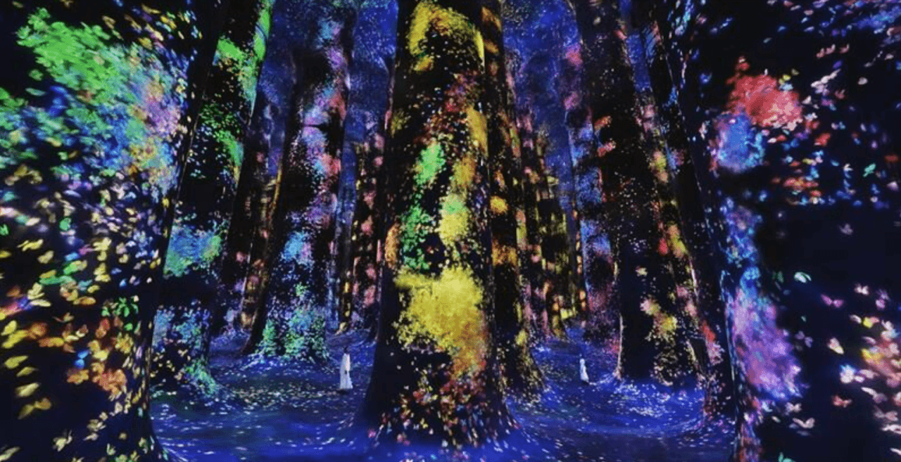 teamLab Phenomena Abu Dhabi Ticket - تصویر 11