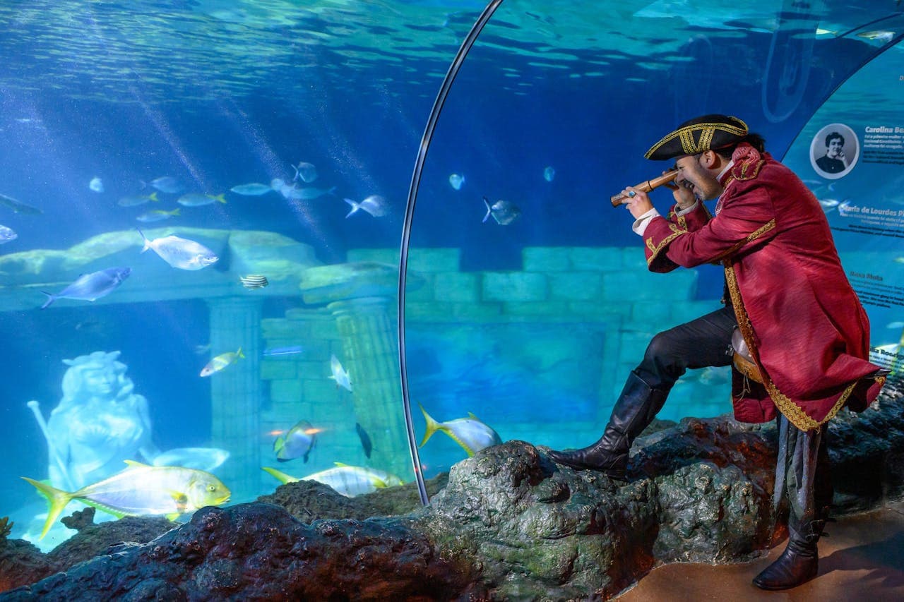 SEA LIFE Porto Ticket - تصویر 6