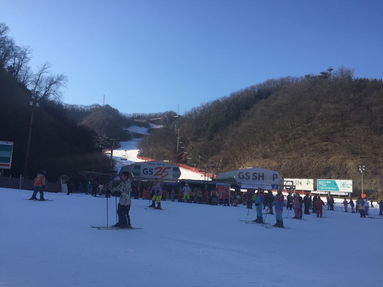 Elysian Gangchon Ski Resort and Nami Island Full-Day Tour from Seoul - تصویر 12