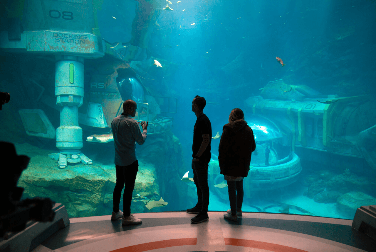 SeaWorld Abu Dhabi Ticket - تصویر 11