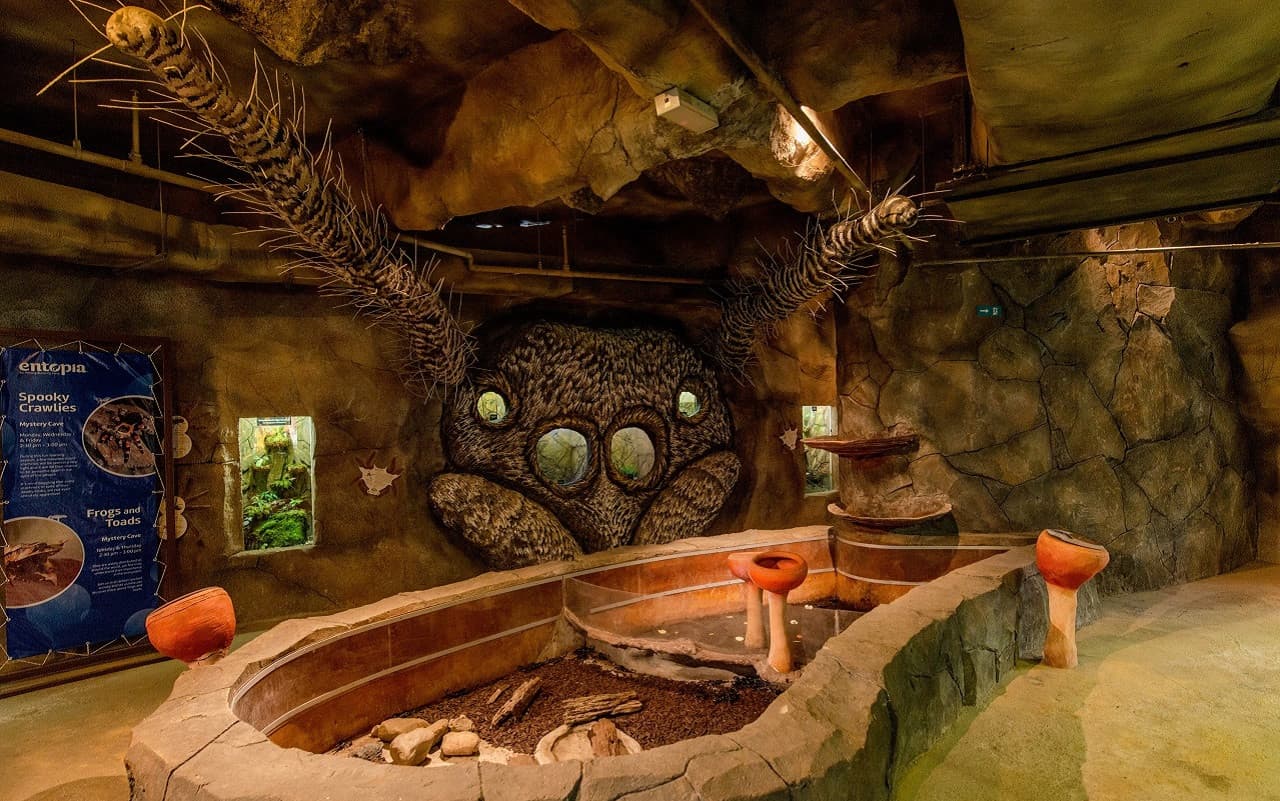 Entopia by Penang Butterfly Farm Ticket - تصویر 8