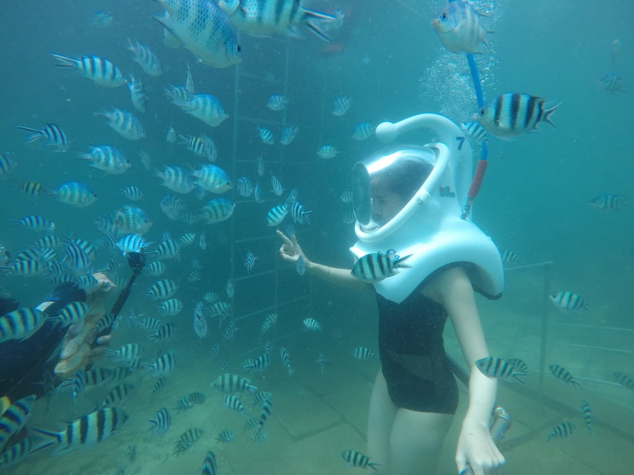 Cham Islands Underwater Walking and Snorkelling Half-Day Tour from Da Nang - تصویر 2