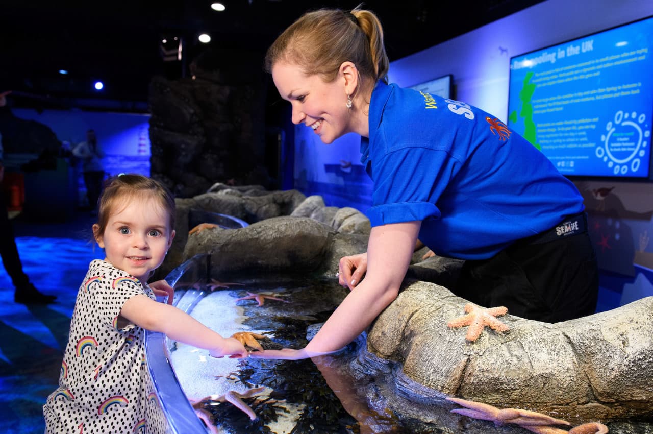 پکیج: SEA LIFE London Aquarium + Hubby eSIM رایگان - تصویر 7