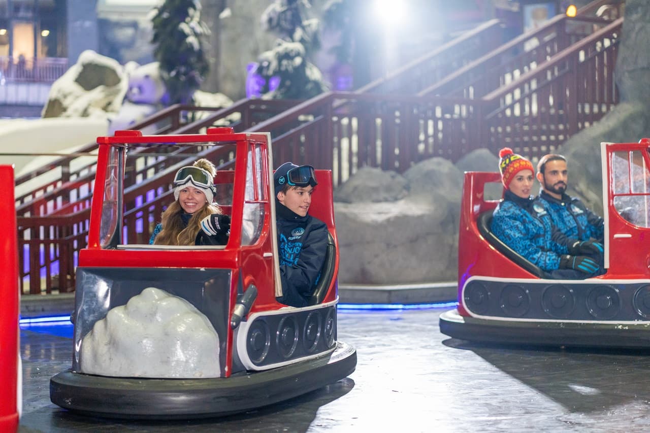 Ski Dubai Ticket - تصویر 14