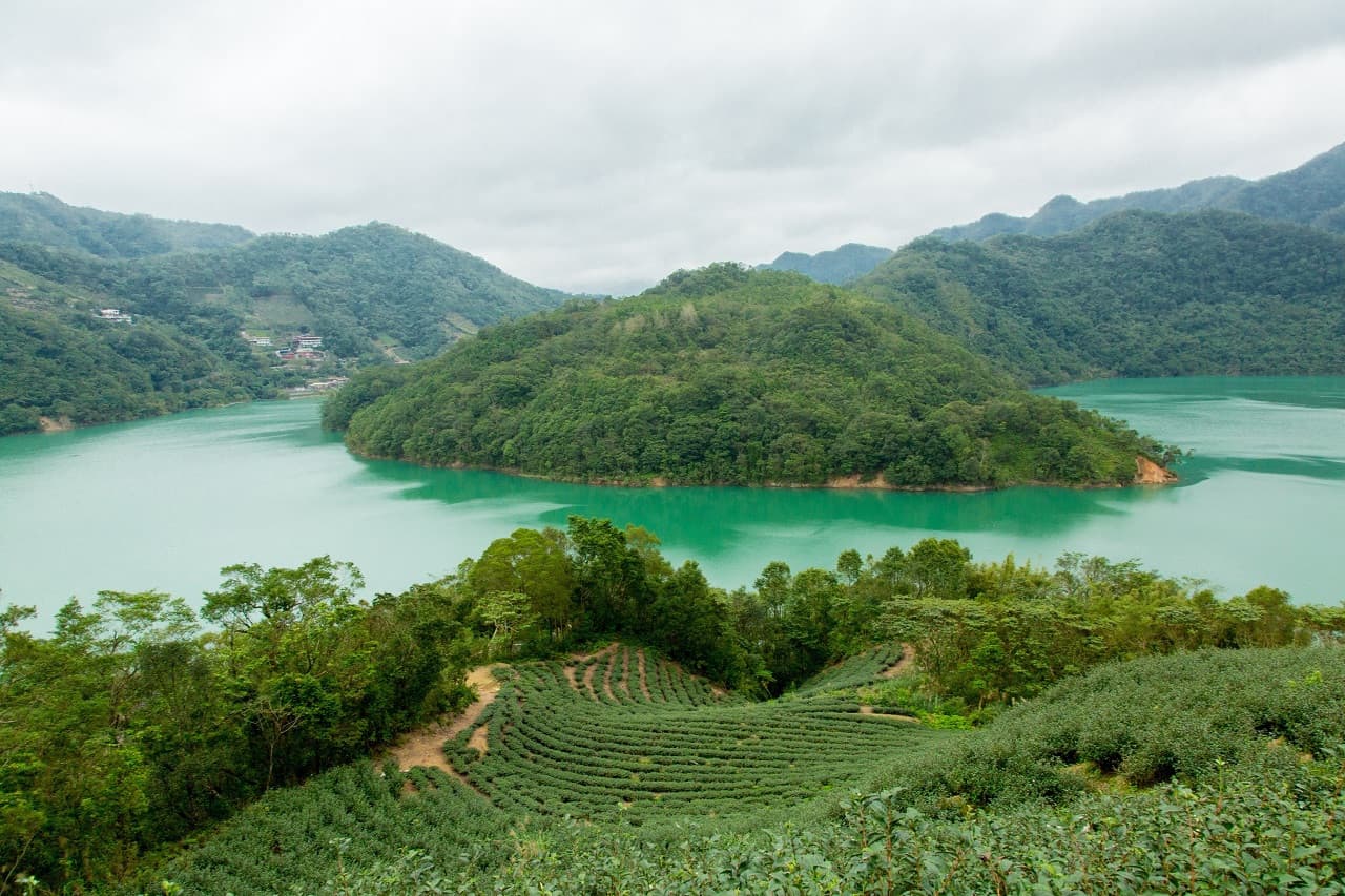 Thousand Island Lake and Pinglin Tea Plantation Tour - تصویر 3