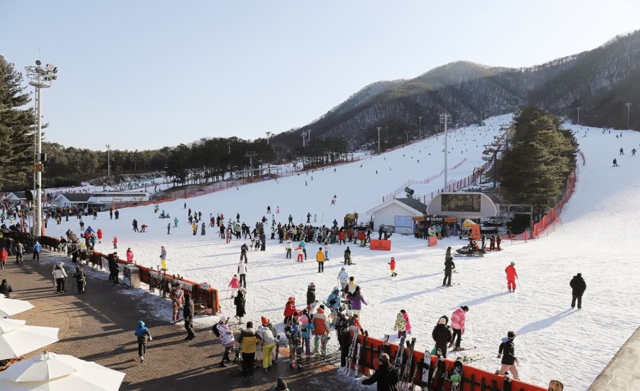 Jisan Forest Ski Resort Full-Day Tour from Seoul - تصویر 10