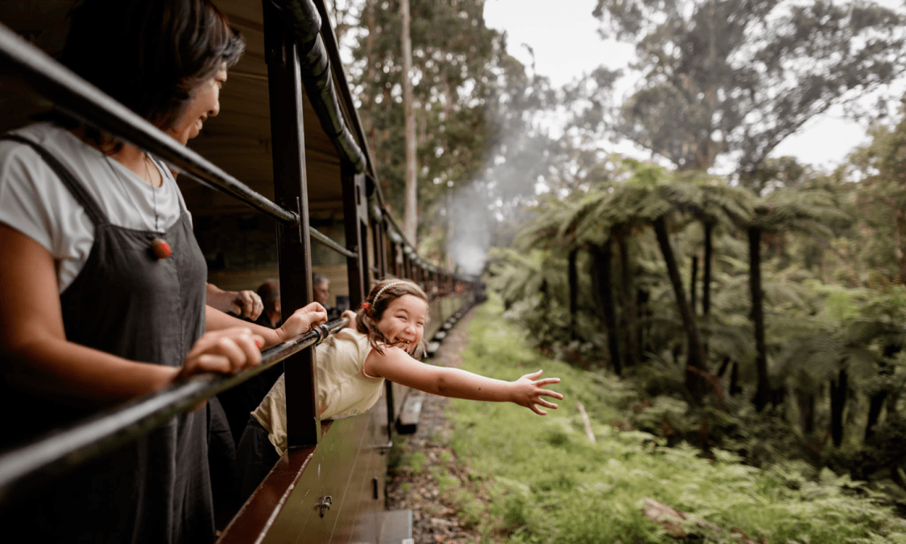 Puffing Billy Steam Train Half-Day Tour - تصویر 4