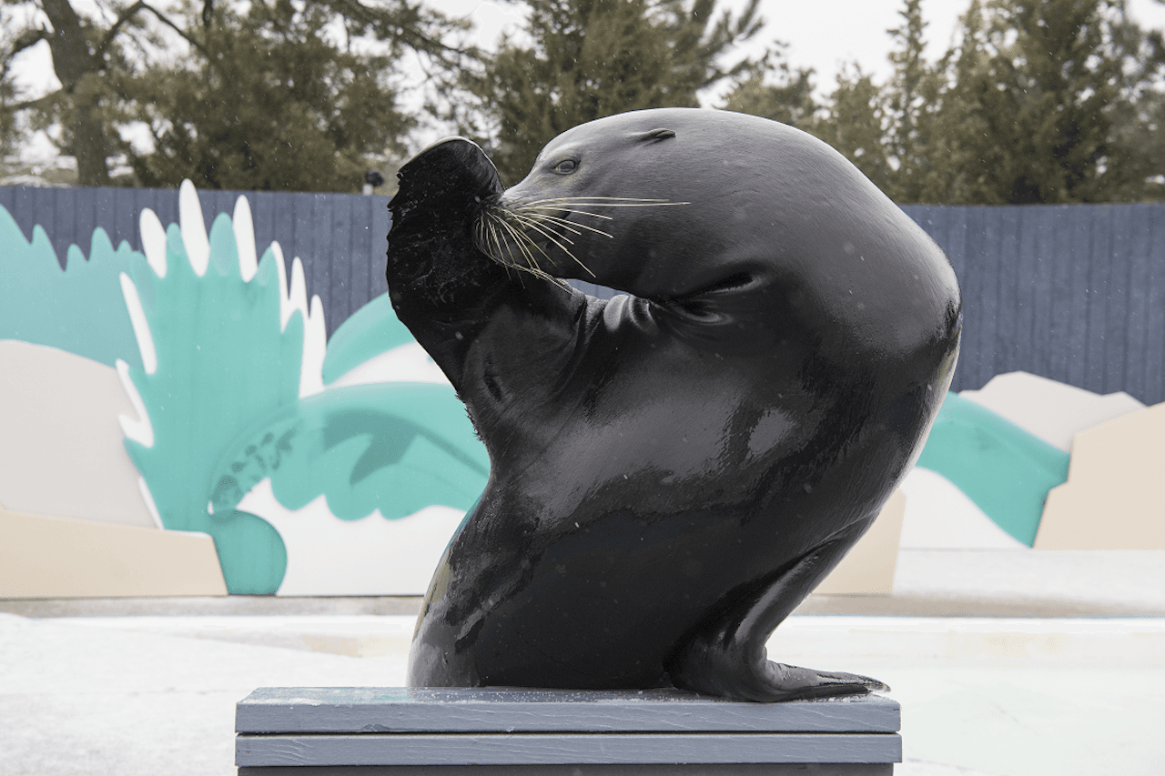 New York Aquarium - تصویر 5