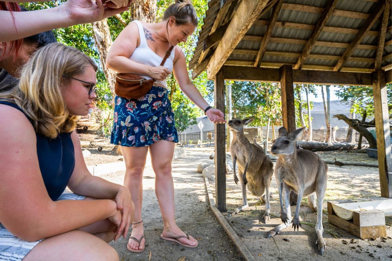 Daintree, Mossman Gorge, and Wildlife Habitat Port Douglas Full-Day Tour - تصویر 6