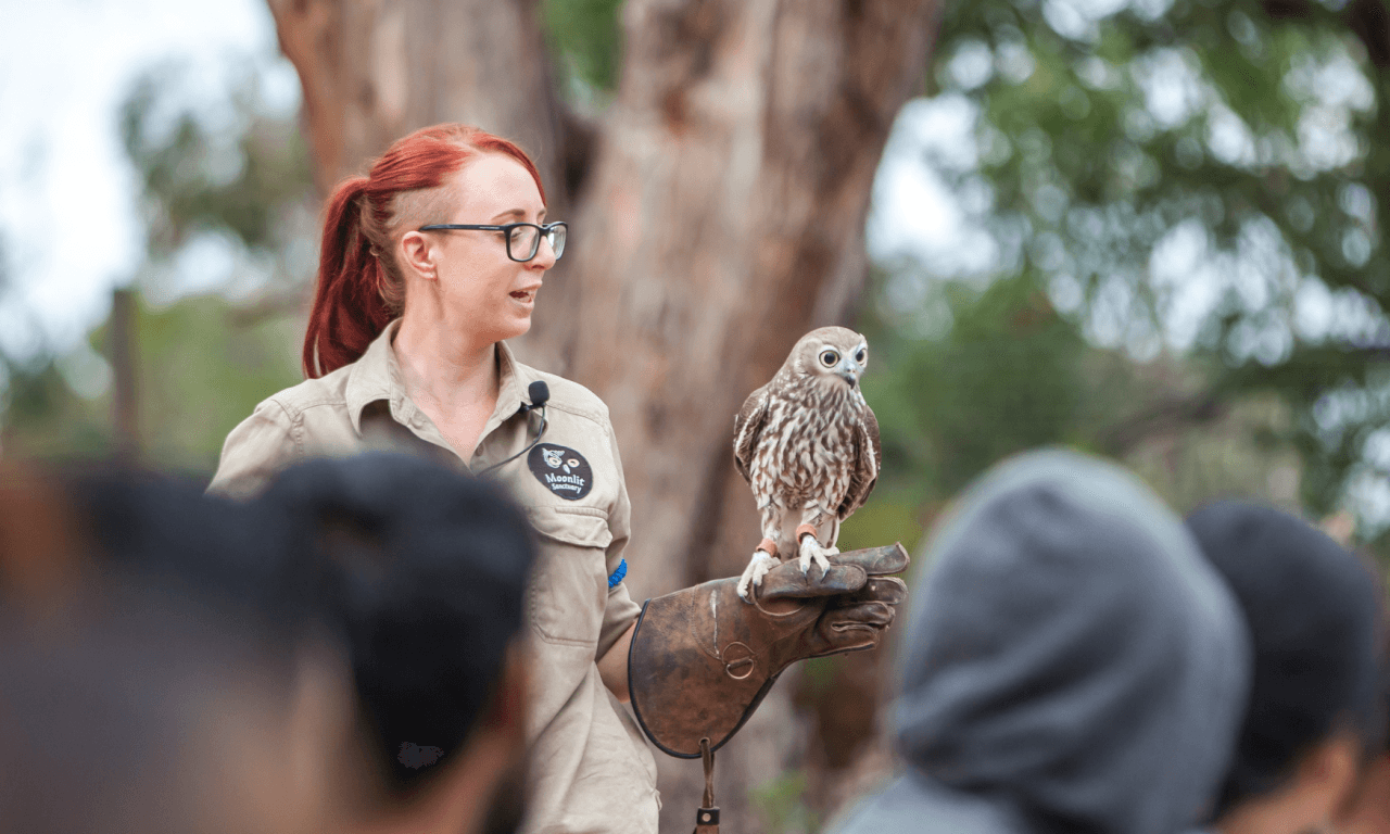 Phillip Island with Penguin Parade Eco Tour - تصویر 20