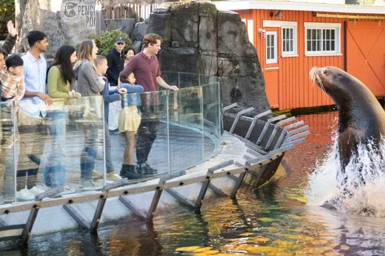 Vancouver Aquarium Ticket - تصویر 3