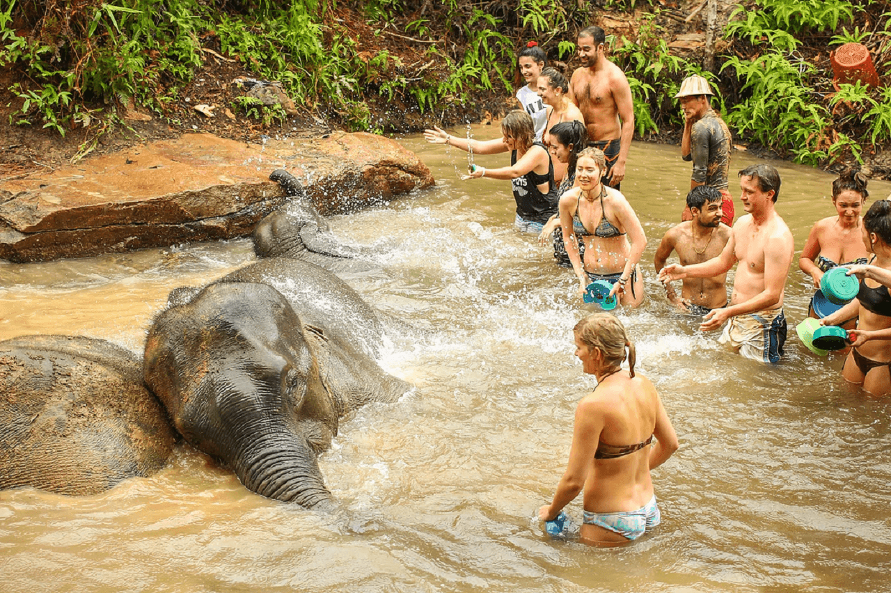 Elephant Jungle Sanctuary Phuket - تصویر 15
