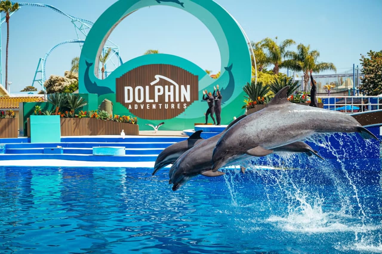 SeaWorld San Diego Ticket: Direct Entry - تصویر 9