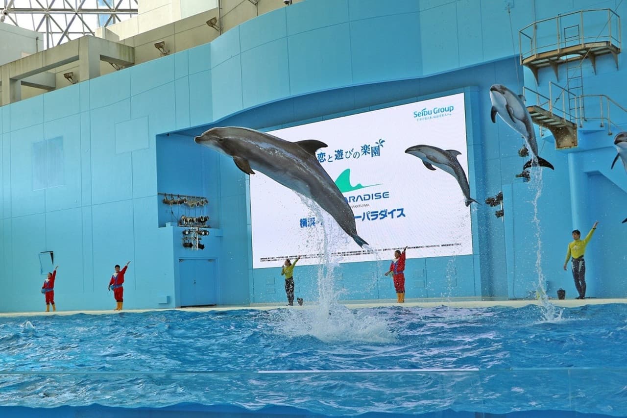 Yokohama Hakkeijima Sea Paradise Ticket - تصویر 3