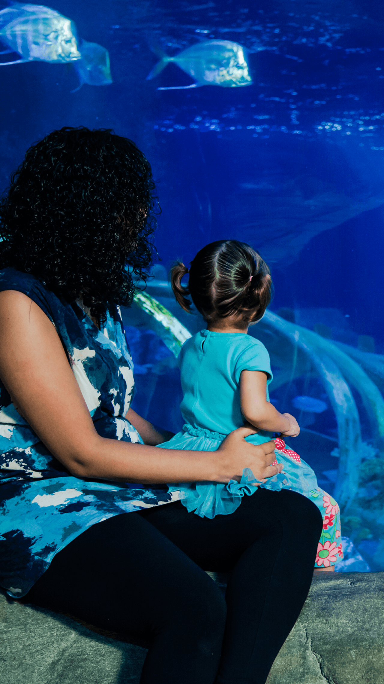 SEA LIFE Paris Aquarium Ticket - تصویر 4