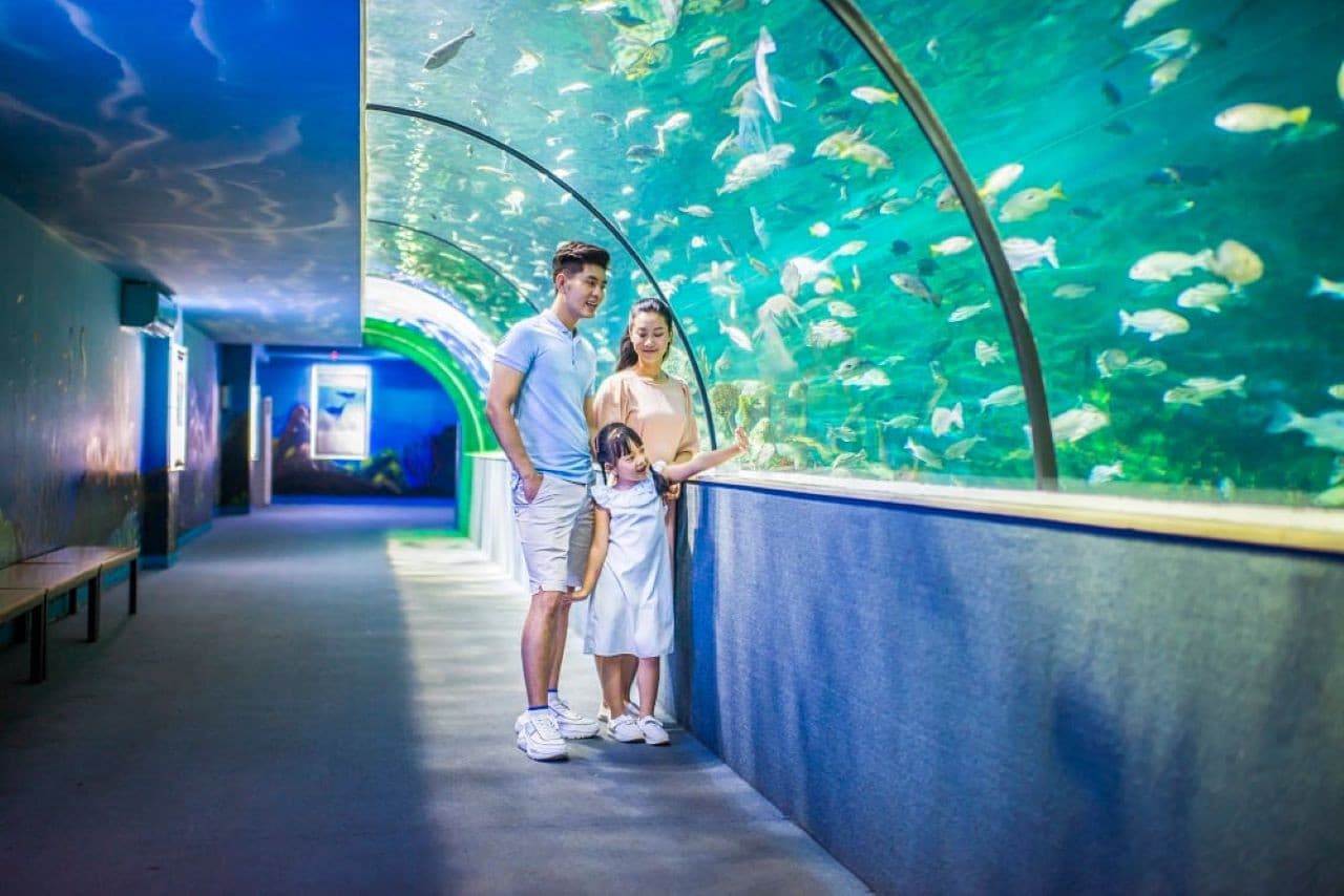 Vinpearl Aquarium Times City Hanoi Ticket - تصویر 6