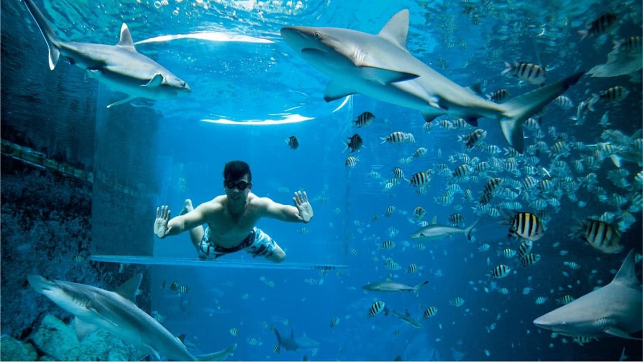 Ultimate Marine Life Experience at Adventure Cove Waterpark - تصویر 6