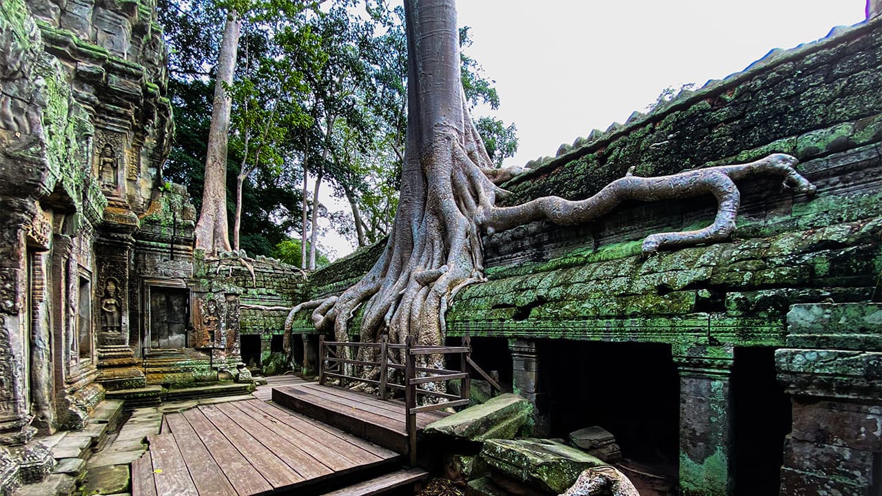 Angkor Wat, Ta Prohm, and Neak Pean Tour - تصویر 3