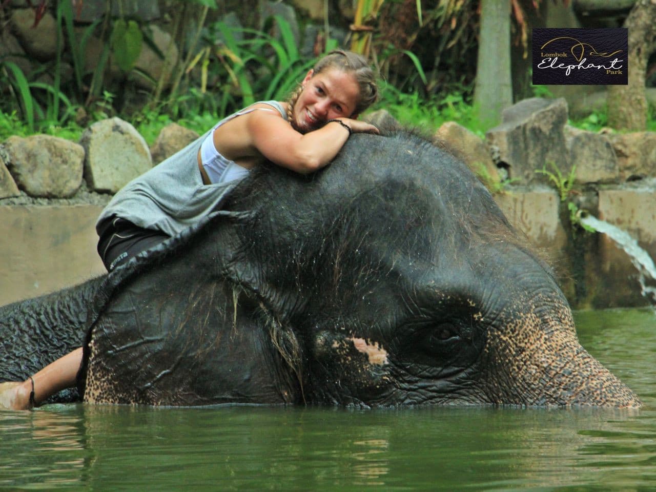 Lombok Wildlife Park Elephant Bath Experience - تصویر 4