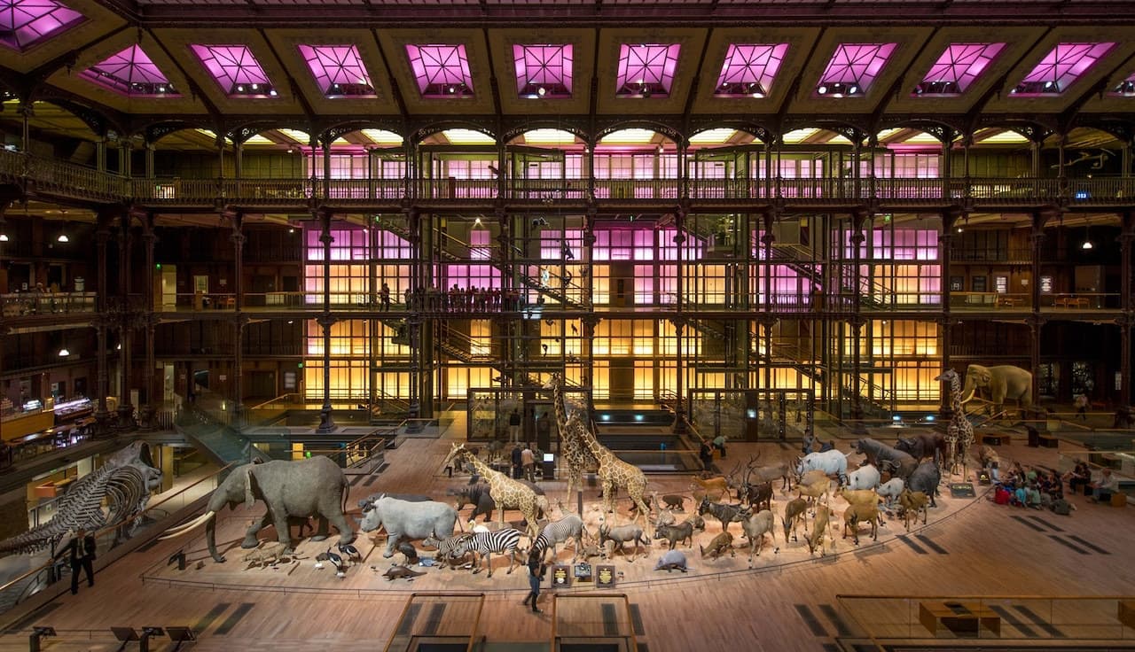 Grande Galerie de l'Évolution: Skip The Line - تصویر 2