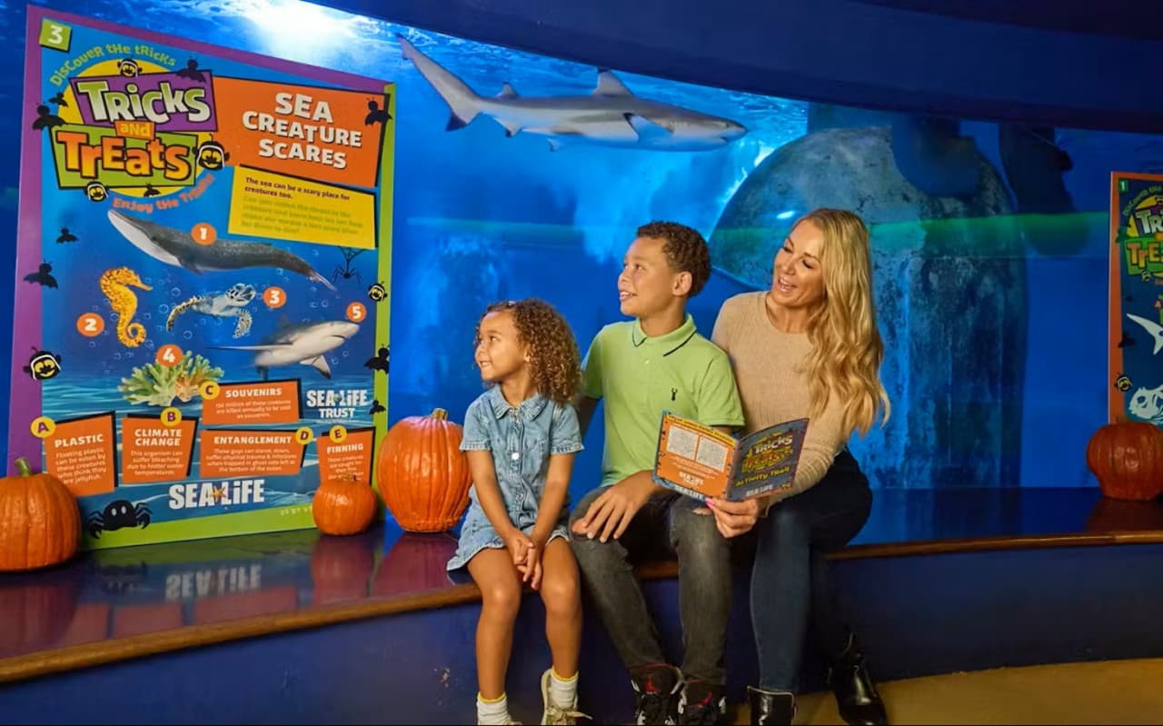 SEA LIFE New Jersey Aquarium Ticket - تصویر 2