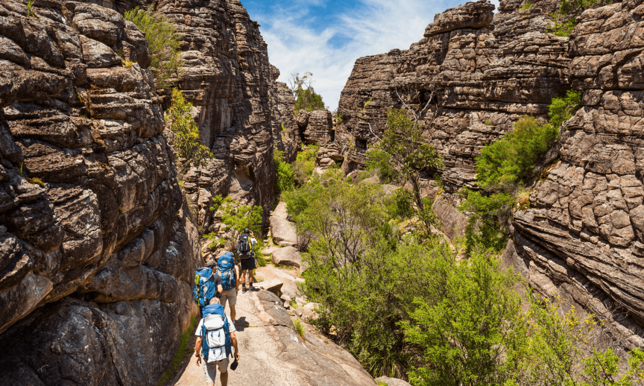 Grampians National Park Day Tour from Melbourne - تصویر اصلی