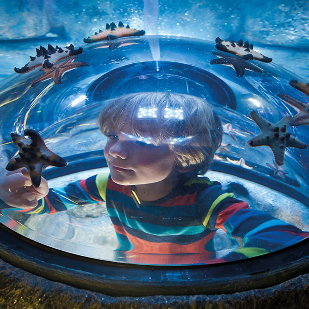 SEA LIFE New Jersey Aquarium Ticket - تصویر 6