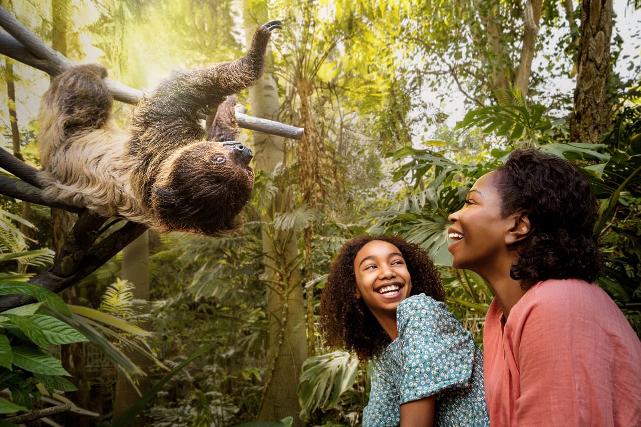 Go City San Diego Explorer Pass: Save up to 50% on Attractions - تصویر 4